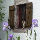 130601 08 Vogezen Ivonne (94)